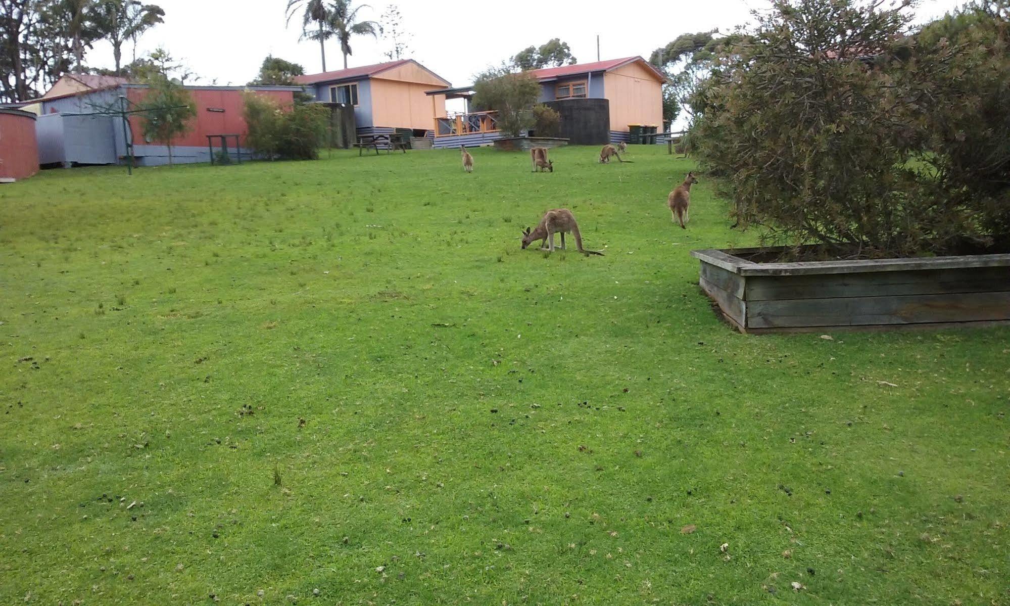 Durras Lake North Holiday Park Hotel Luaran gambar